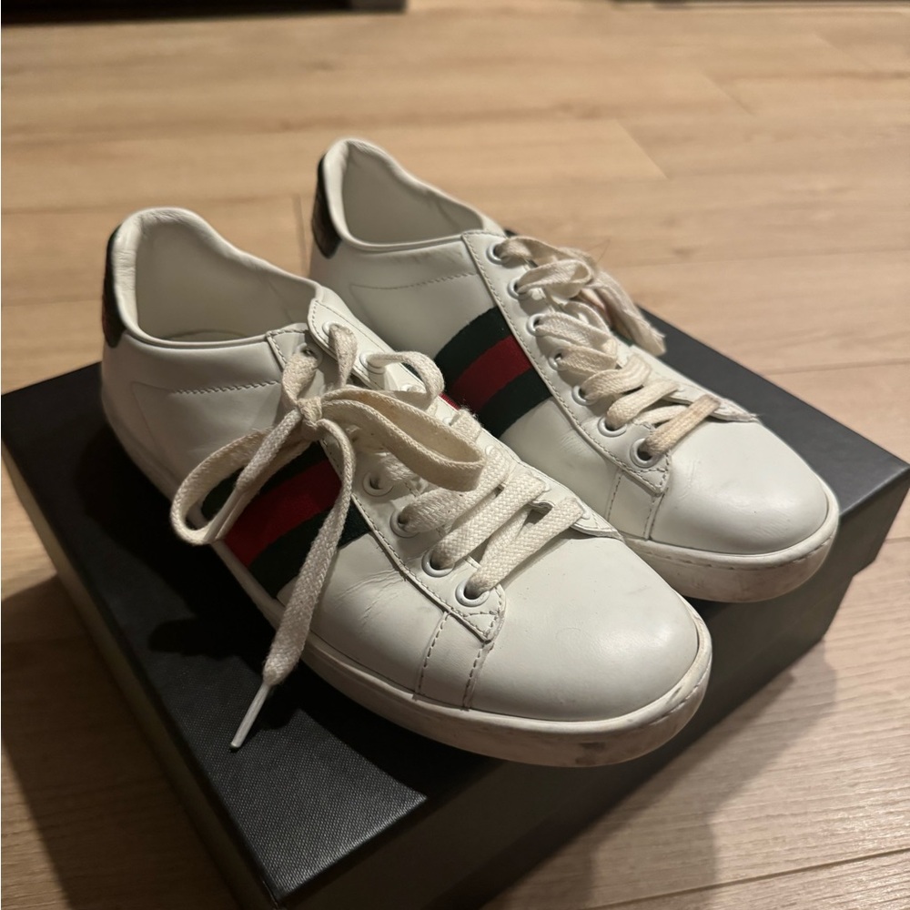 Gucci sneaker